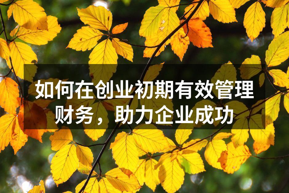 如何在创业初期有效管理财务，助力企业成功